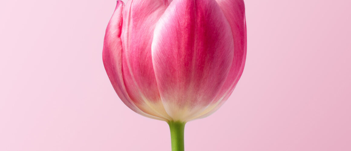 Featured-5
